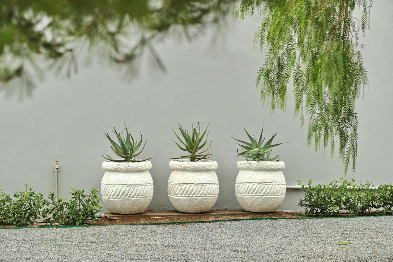 شقة The Fancy Cactus كوليزبيرغ المظهر الخارجي الصورة